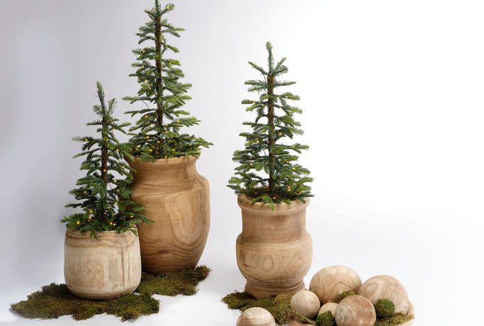 Gifts for the Plant Lover