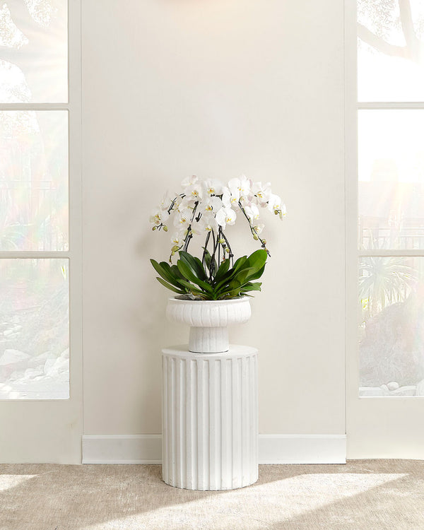 Fluted Column Side Table White