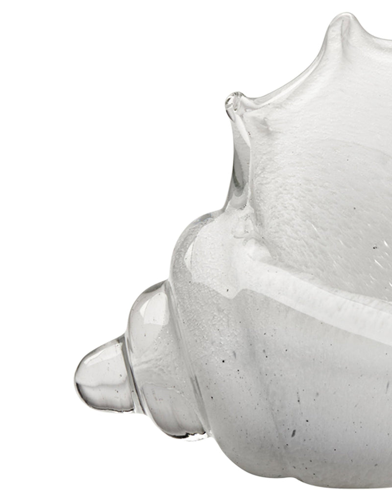 featured triton shell white | home decor