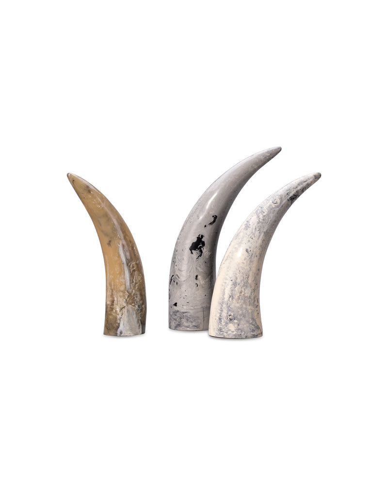 varigated horn decorative objects