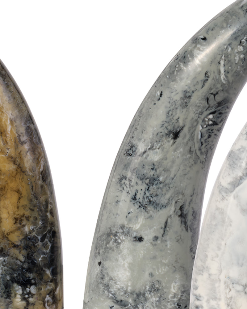 varigated horn decorative objects
