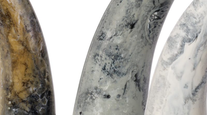 varigated horn decorative objects