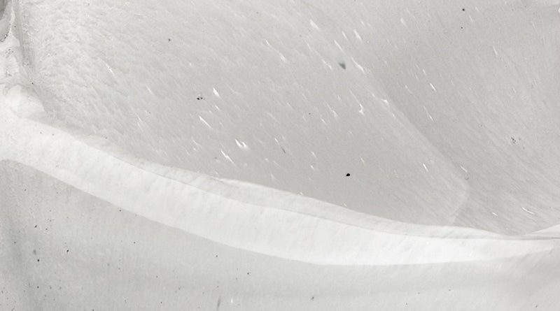 featured triton shell white | home decor